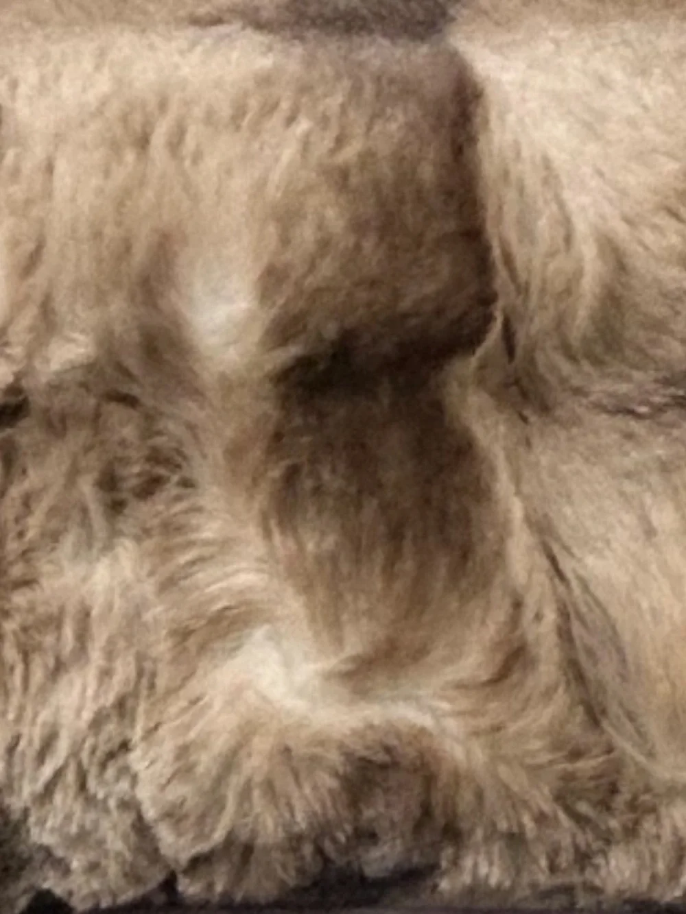 Westmore Loft Brown Faux Fur Luxury King Comforter Set 106”x90” Warmth Comfort